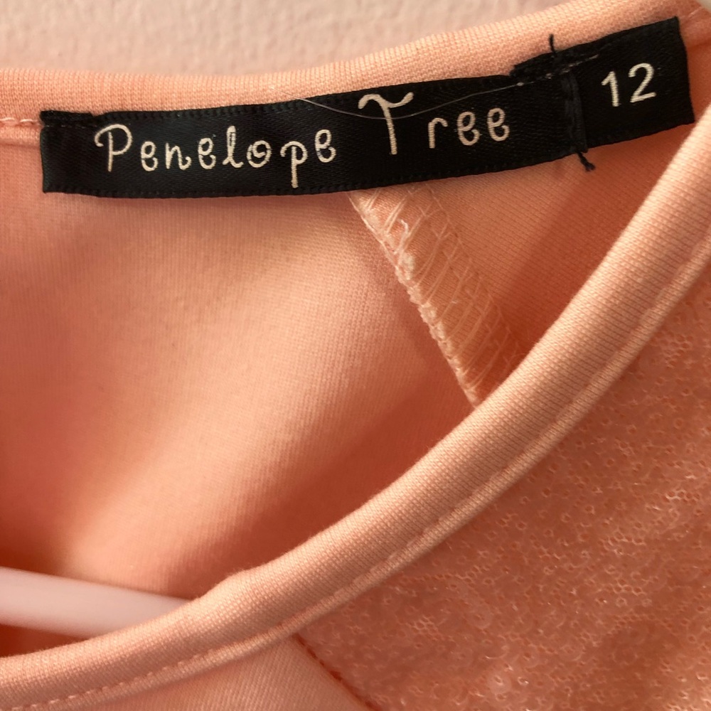 Penelope Tree Dress From Nordstrom - Size 12 - Picture 3 of 3